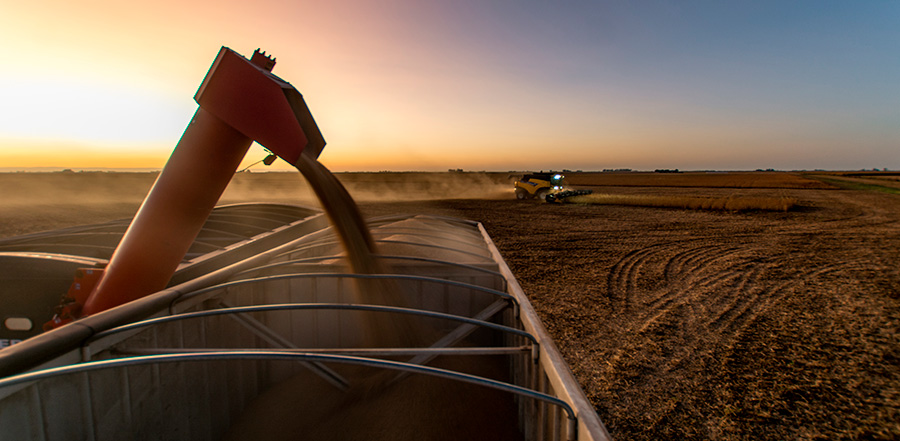 Reglas y Usos del Comercio de Granos: