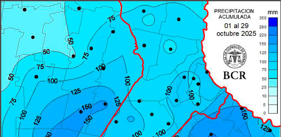 “Están comparables al sudeste bonaerense”: el trigo zafó del frío y el agua sigue acompañando el llenado de granos
